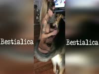 Petite zoophilia lover recorded while fucking her dog